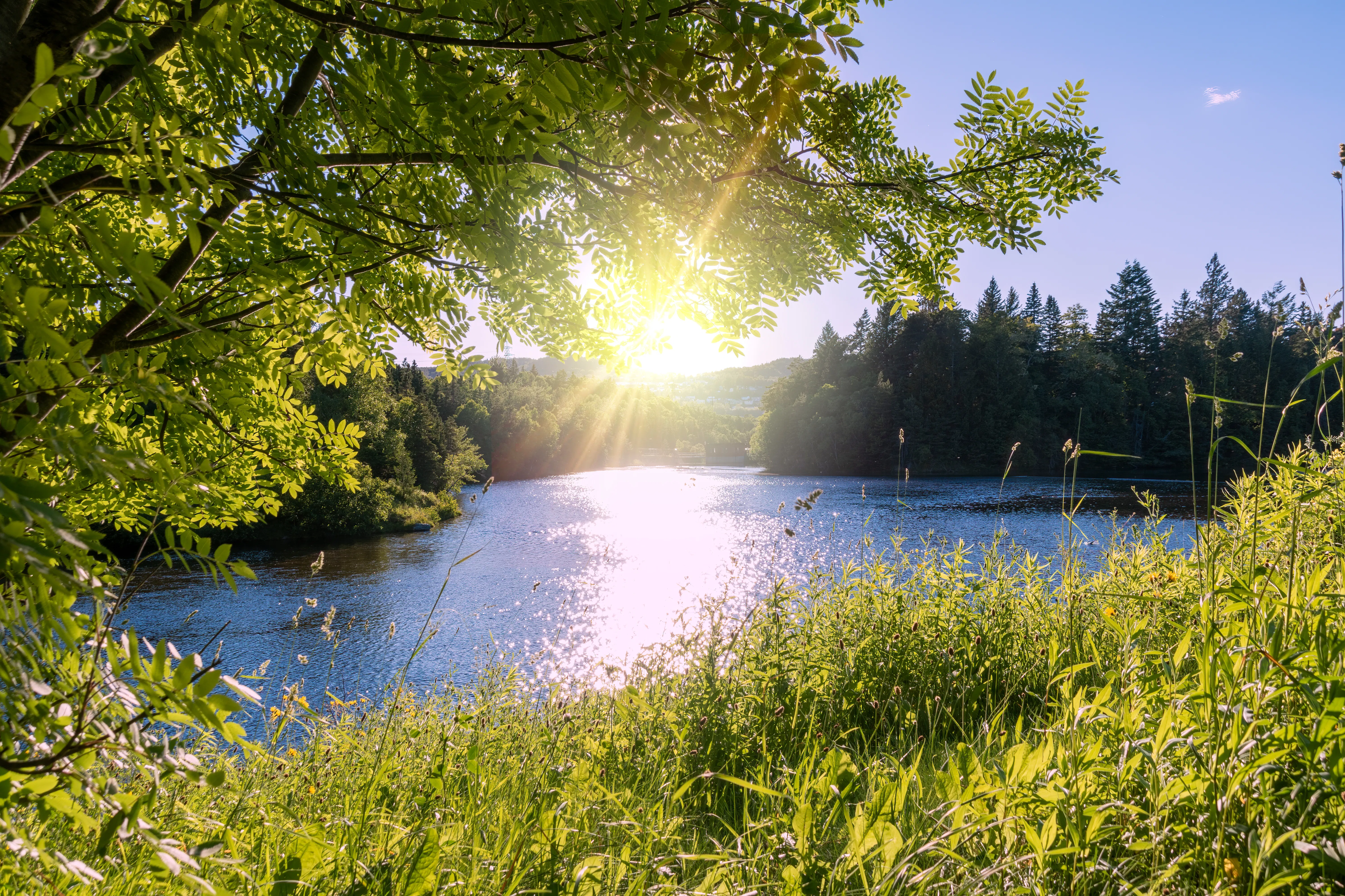 | Quirpon Island – Corner Brook