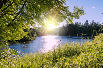 | Quirpon Island – Corner Brook