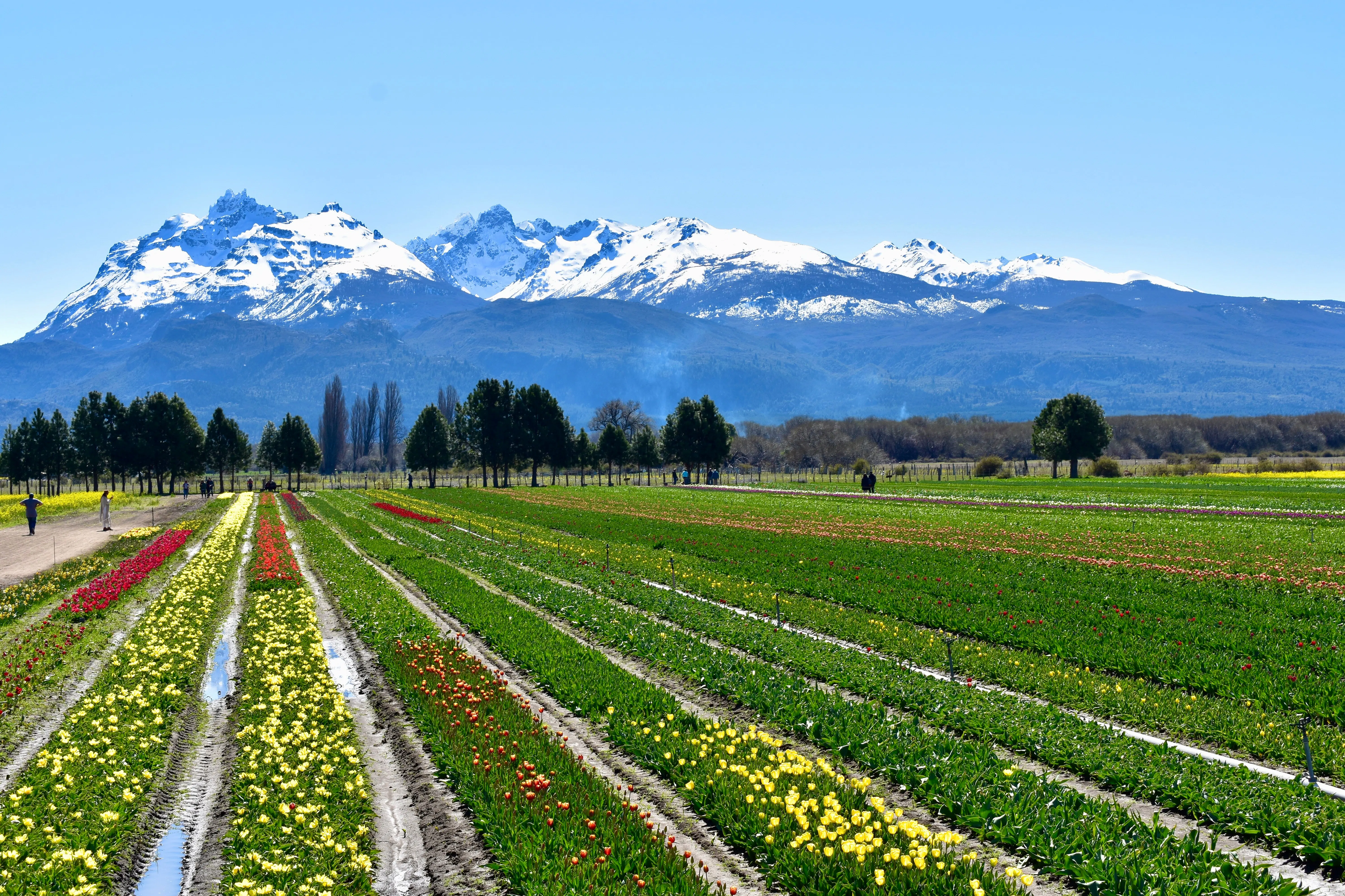 | 5 February 2027 | Buenos Aires – Esquel