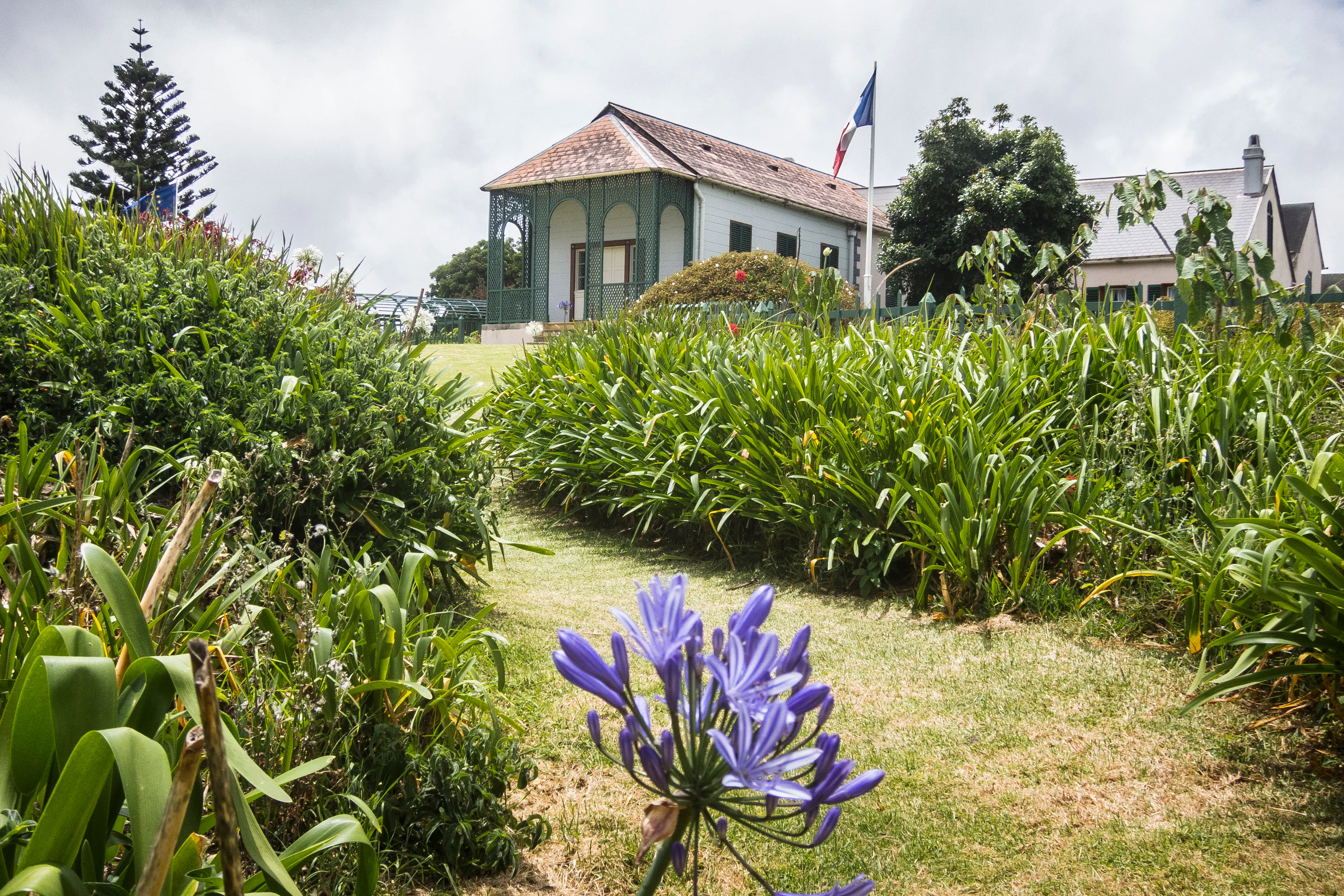 | Longwood House Tour