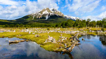 Lake Escondido and depart Ushuaia