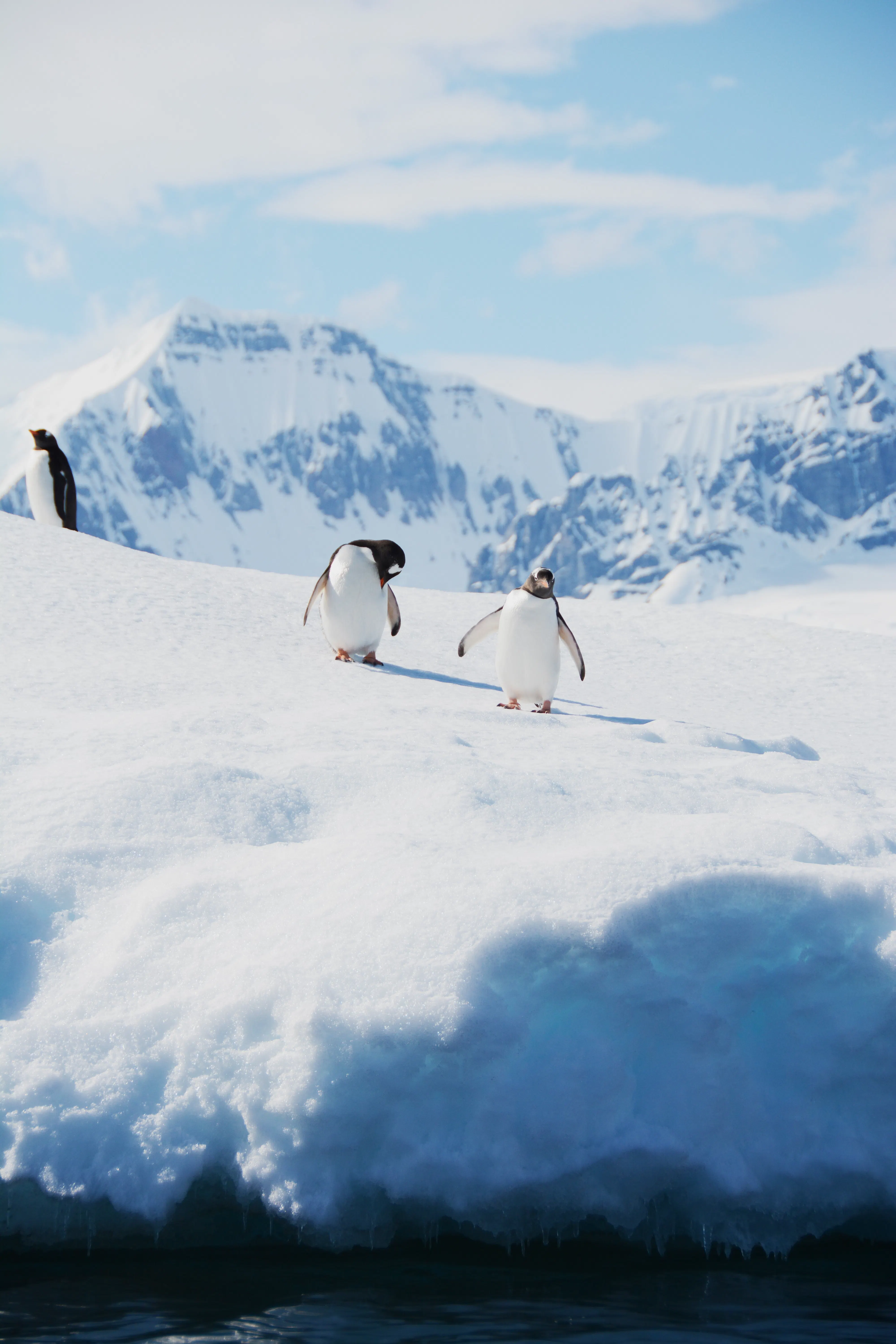 Antarctic Peninsula and Antarctic Circle