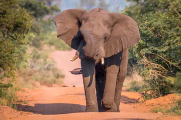 | Welgevonden, Waterberg Biosphere Reserve