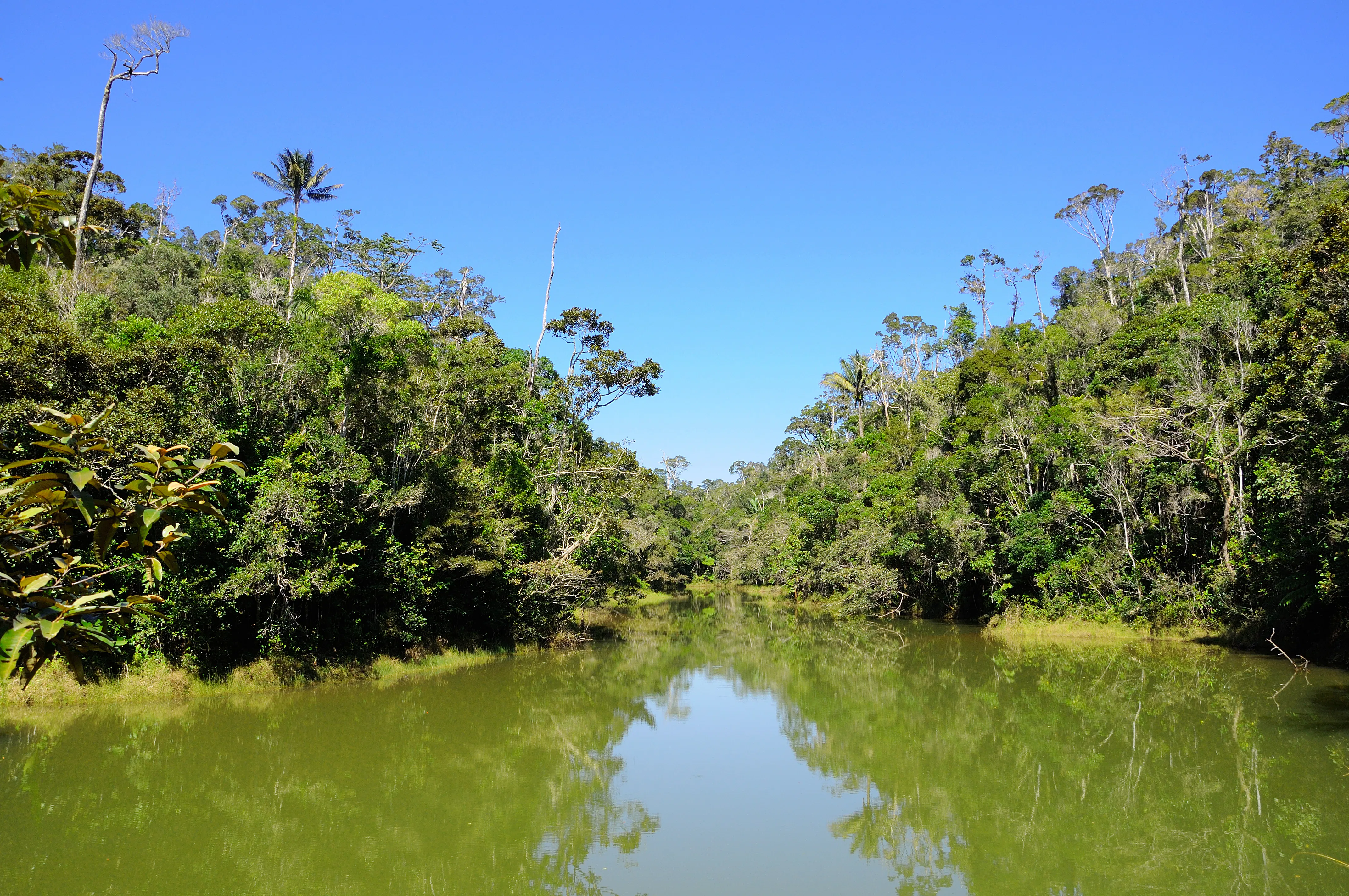 | Mantadia National Park
