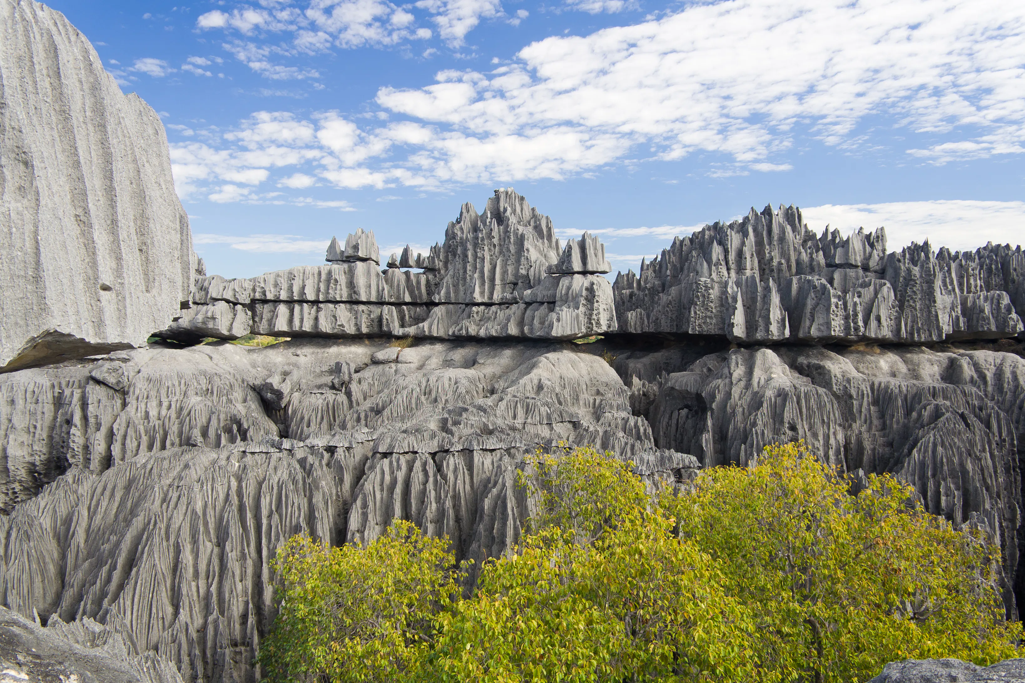 | The Grand Tsingy, Tsingy de Bemaraha National Park