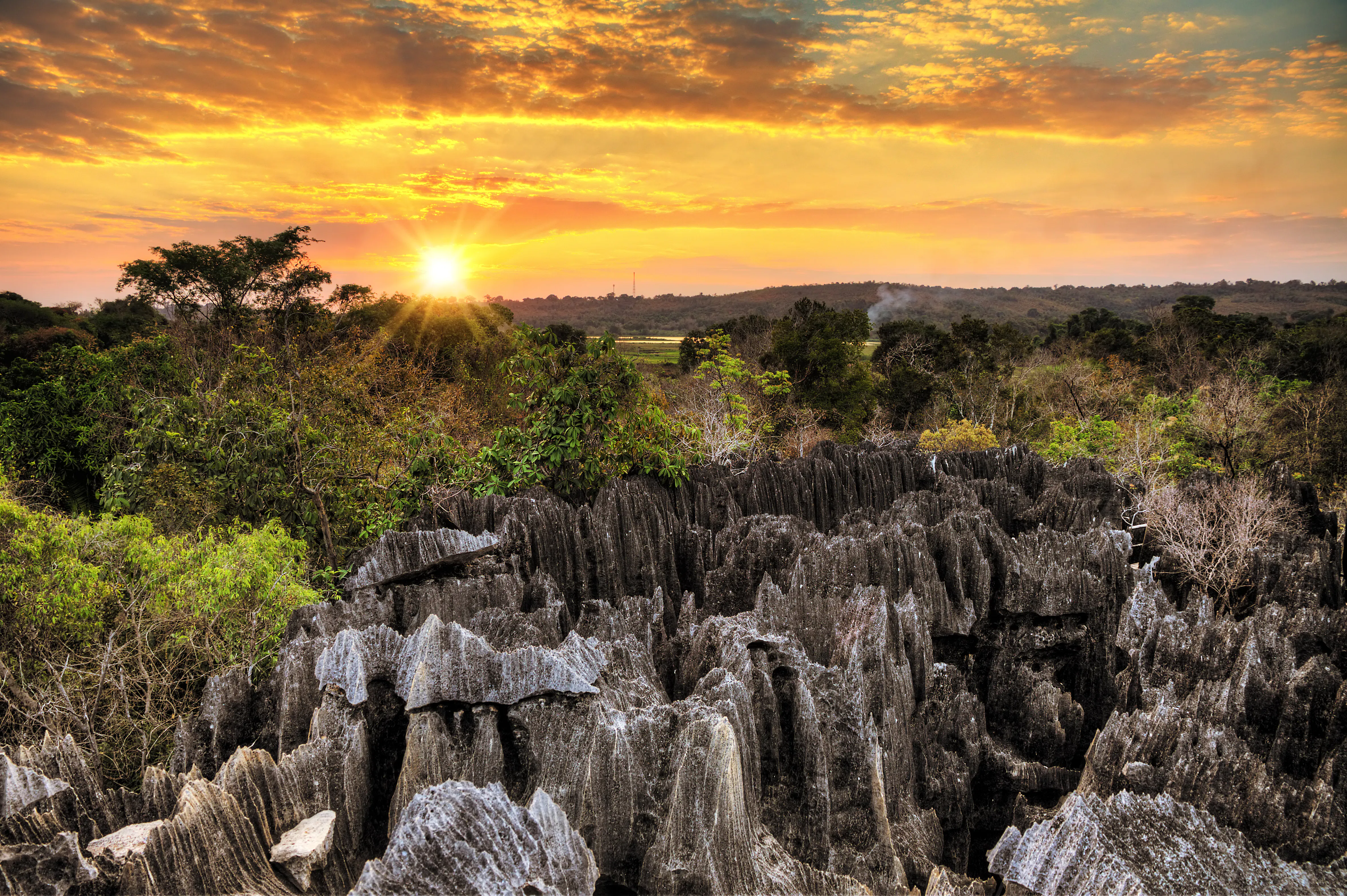 | Petit Tsingy & Manambolo River, Tsingy de Bemaraha National Park