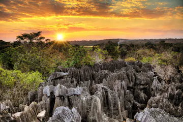 | Petit Tsingy & Manambolo River, Tsingy de Bemaraha National Park