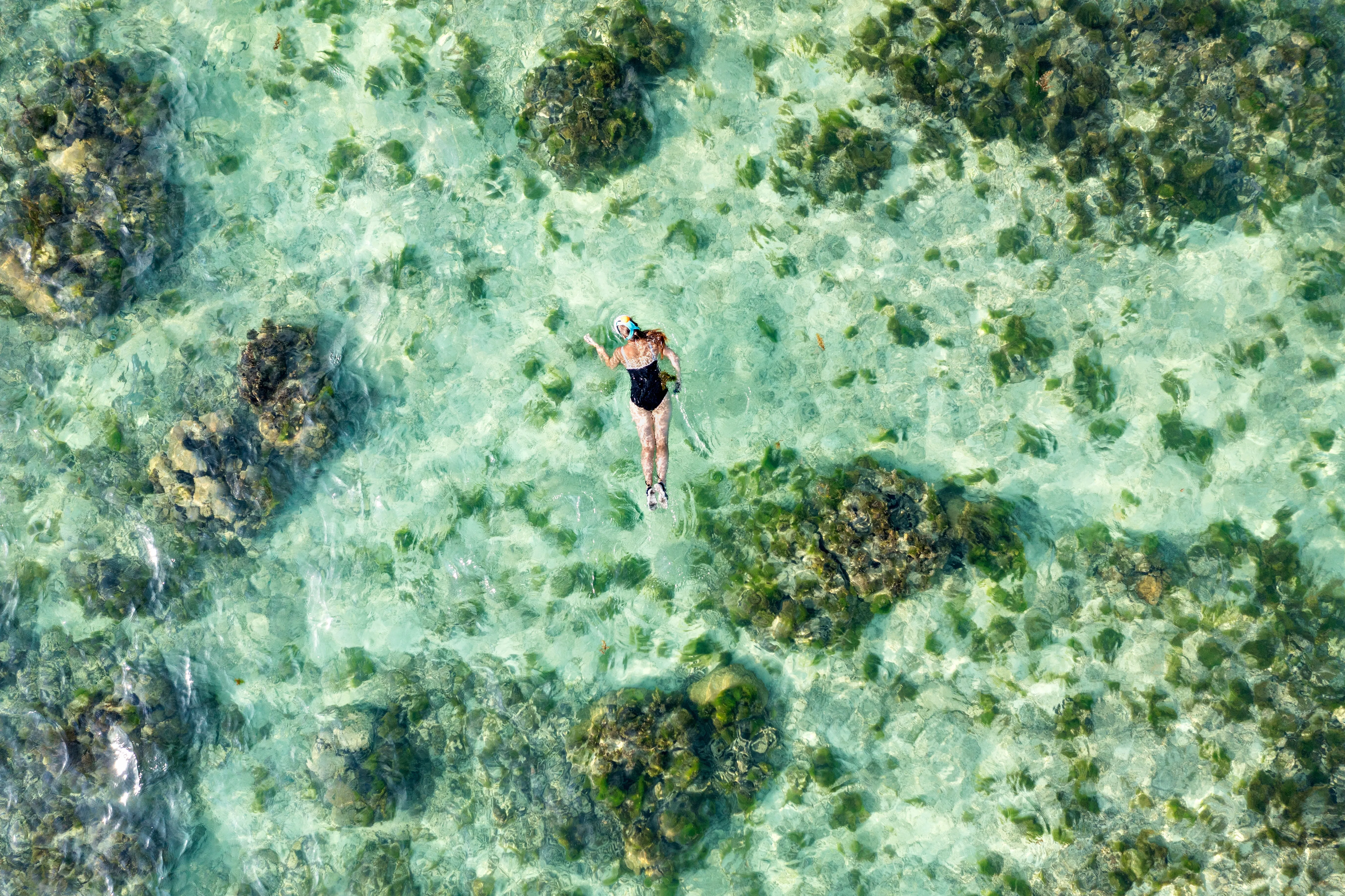 Snorkelling in Mauritius