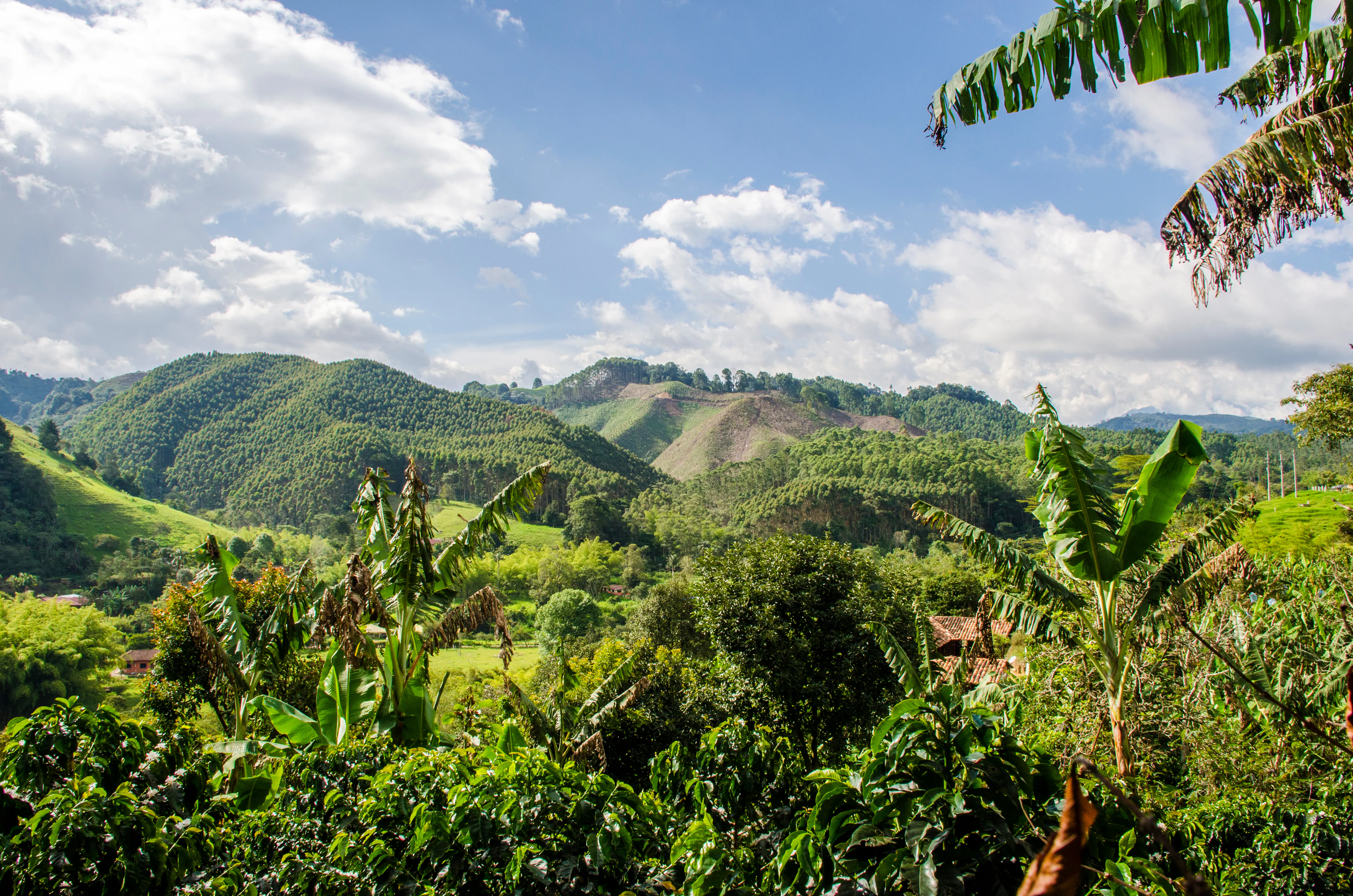 | Villa de Leyva - Coffee Region