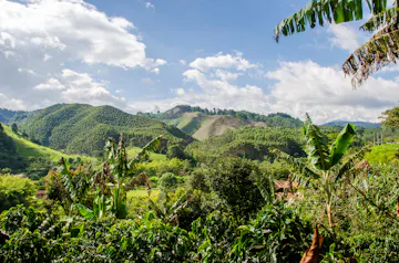 | Villa de Leyva - Coffee Region