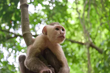 | Tayrona National Park