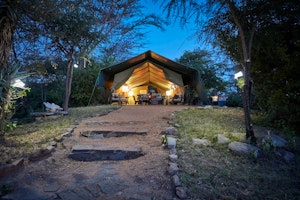 Porini Mara Camp image 1