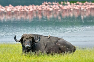 Discover Kenya's Highlights - Small Group Tour