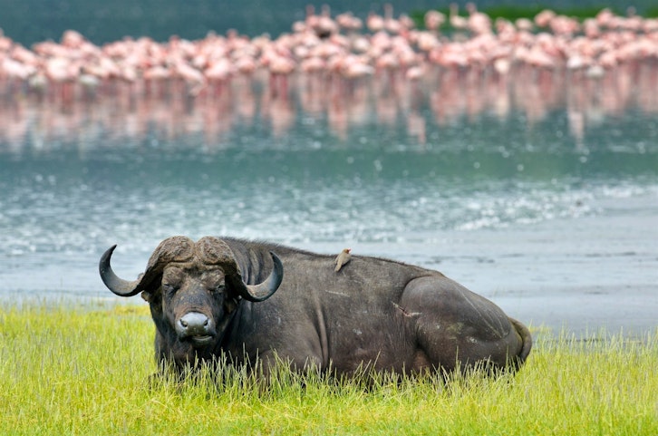 Discover Kenya's Highlights - Small Group Tour