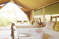 Accommodation, Porini Mara Camp, Masai Mara, Kenya