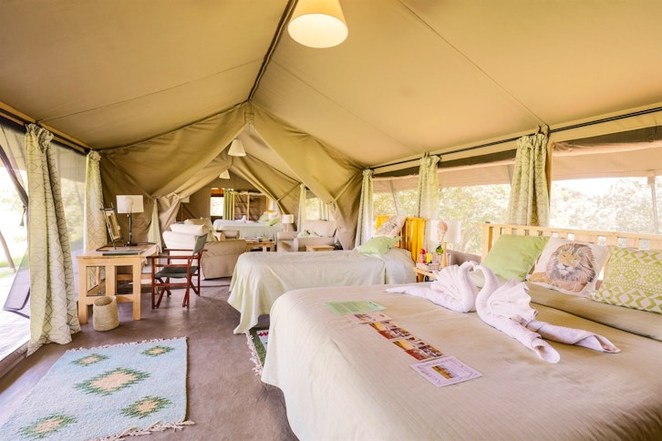 Family Accommodation, Porini Lion Camp, Masai Mara, Kenya