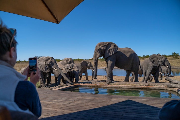 Elephants in Camp, Somalisa Camp, Hwange National Park, Zimbabwe