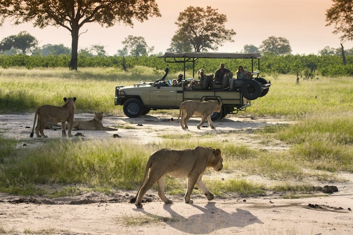 Game Drive, Somalisa Camp, Hwange National Park, Zimbabwe