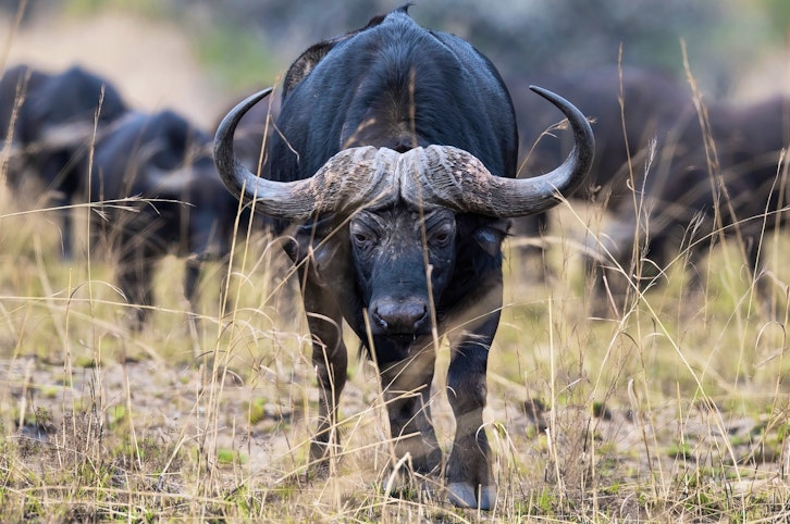 KwaZulu Natal - Self Drive