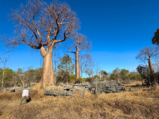 Namoroka Tsingy Camp 12