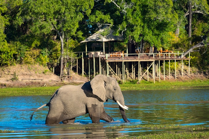 Elephant infront of Chindeni Bushcamp