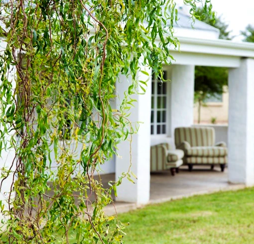 Cottage, The Elephant House, Eastern Cape, South Africa