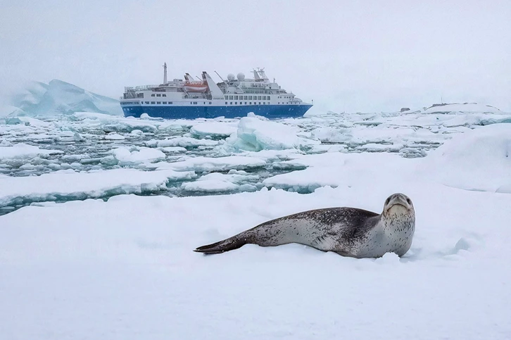 Discoverer, Polar Latitudes, Antarctica