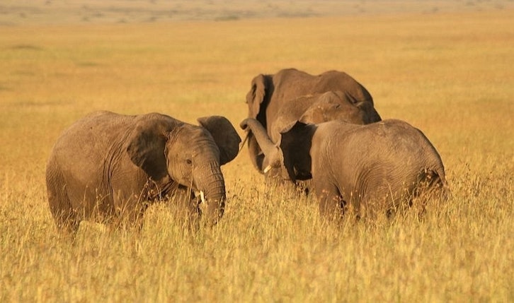 Little Governors' Camp 3