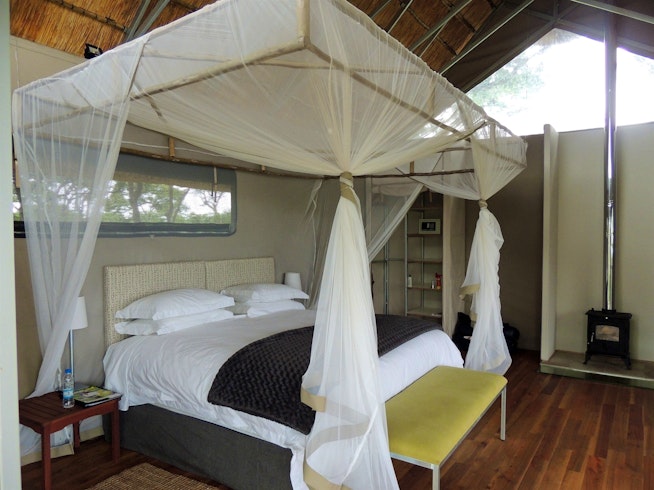 Elephant's Eye, Hwange 2