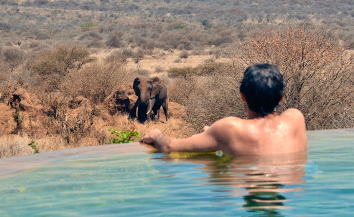 View of Elephant from Pool, Elerai Camp, Amboseli, Kenya