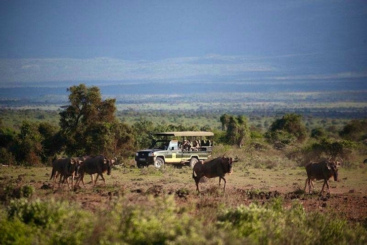 Game Drive, Elewana Tortilis Camp, Amboseli, Kenya