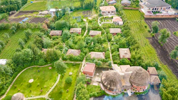 Ingagi Lodge image 1