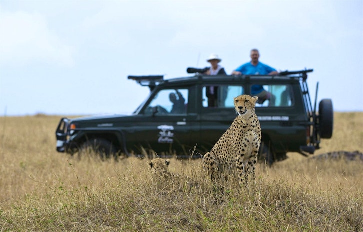 Game Drive, Entim Mara Camp, Masai Mara, Kenya