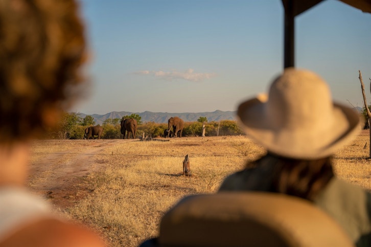 Game Drive, Fothergill Island, Zimbabwe