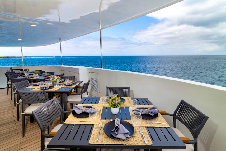 Galapagos Horizon 6