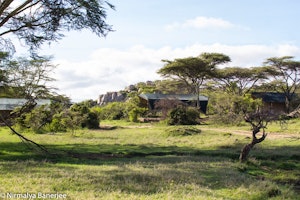 Porini Cheetah Camp image 1