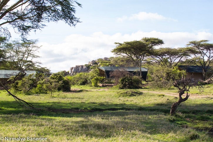 Exterior, Porini Cheetah Camp, Masai Mara, Kenya
