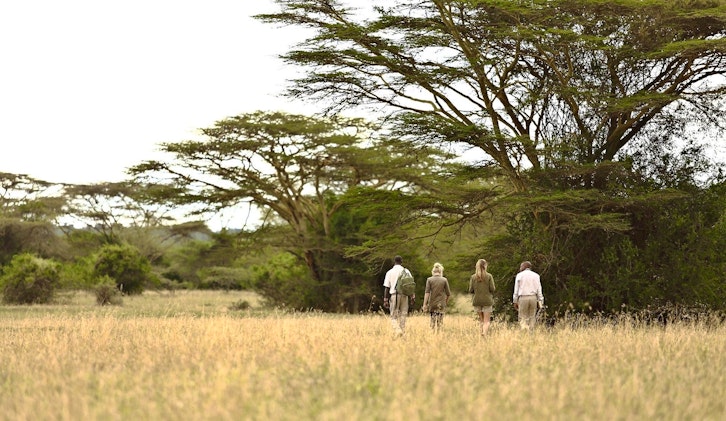 Guide Bush Walk, Solio Lodge, Laikipia, Kenya