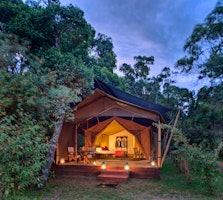 Elewana Elephant Pepper Camp image 1