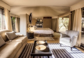 Ilkeliani Camp image 1