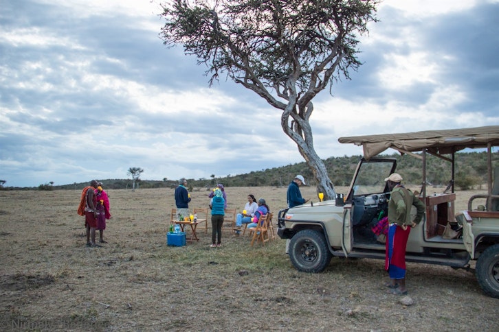 Game Drive, Porini Cheetah Camp, Masai Mara, Kenya
