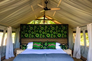 Chongwe River Camp image 1