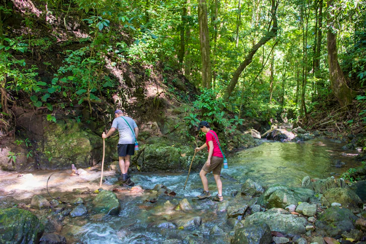 Hiking, Lapa Rios, Osa Peninsula, Costa Rica