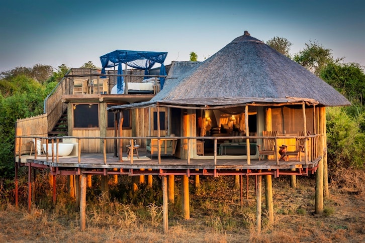 Lion Camp Star Gazing