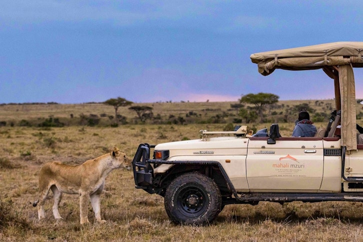 Game Drive, Mahali Mzuri, Masai Mara, Kenya