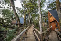 Walkway, Munazi Lodge, Nyungwe National Park, Rwanda