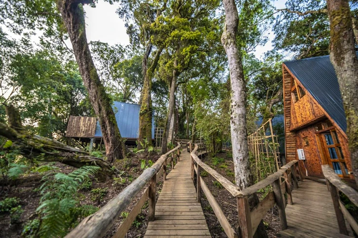 Walkway, Munazi Lodge, Nyungwe National Park, Rwanda