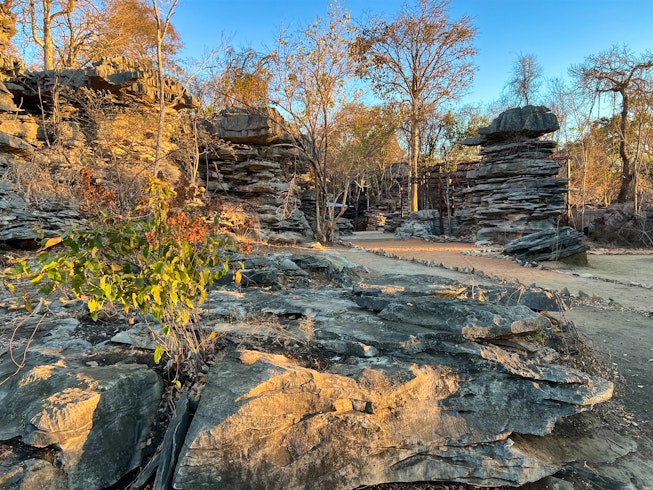 Namoroka Tsingy Camp 6