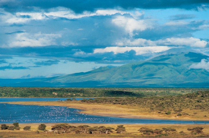 Plains, Ndutu Lodge, Serengeti, Tanzania