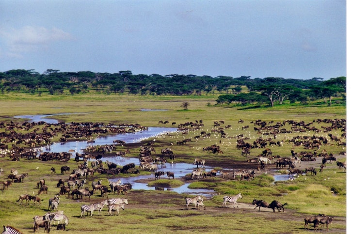 Wildlife, Ndutu Lodge, Serengeti, Tanzania